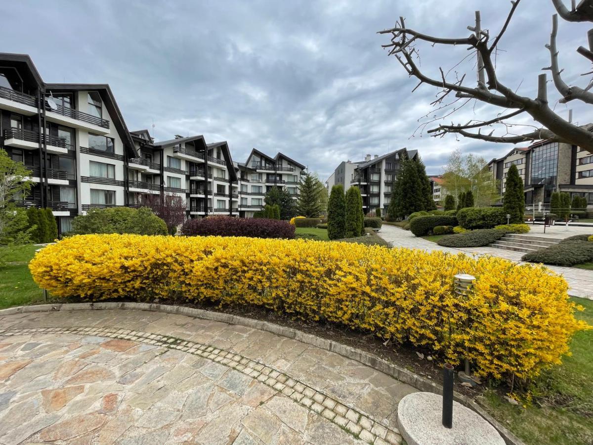 Pirin Dream View Apartments Разлог Экстерьер фото